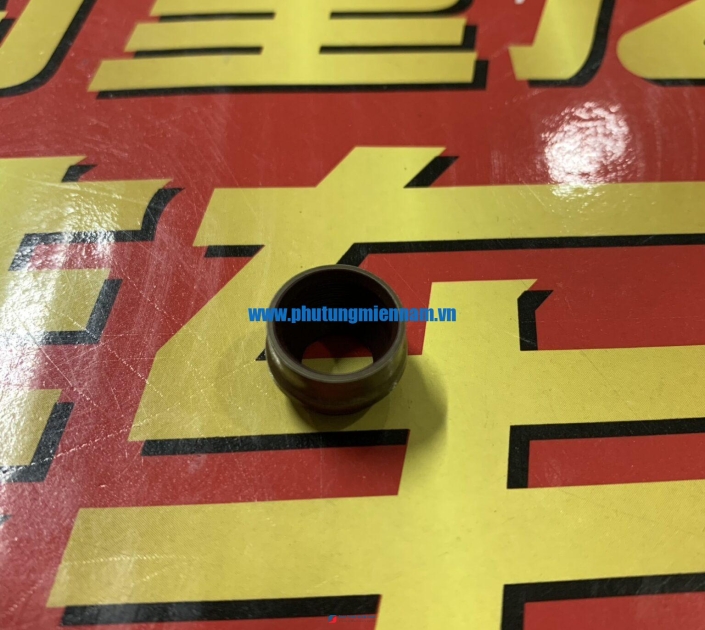 Phớt ghít 420